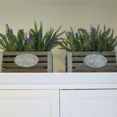 Vi-vi Vitoria-Gasteiz